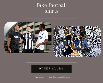 fake Botafogo football shirts 23-24